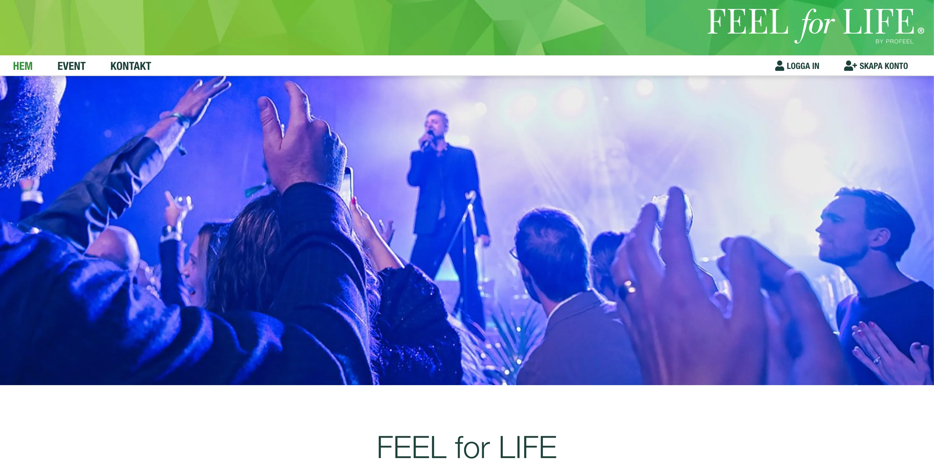 Profeel AB webbplats - Desktop